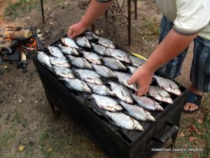 Рыбалка на удочку летом на селигере